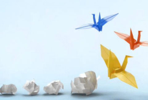 learning-in-harmony-lessons-from-collaboration-and-growth