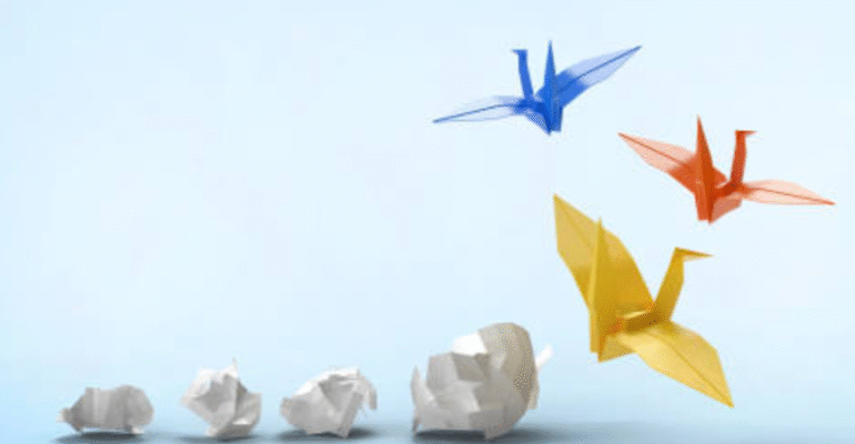 learning-in-harmony-lessons-from-collaboration-and-growth